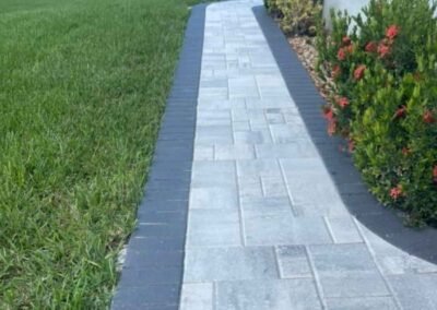 recent project