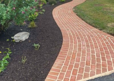 recent project