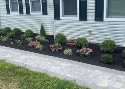 recent project